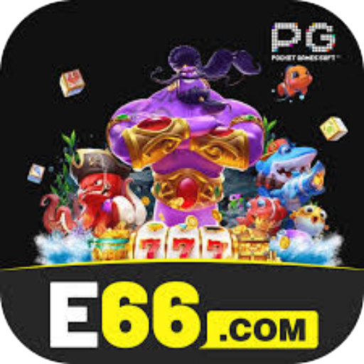 Registro no e66 com