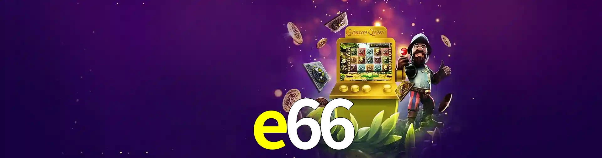 e66 Brasil